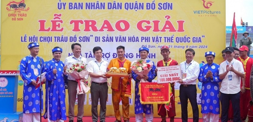 Trâu số 04 giành ngôi vô địch Lễ hội chọi trâu truyền thống Đồ Sơn 2024