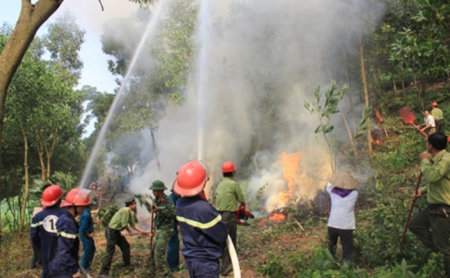 Tăng cường các biện pháp cấp bách phòng cháy, chữa cháy rừng trên địa bàn thành phố