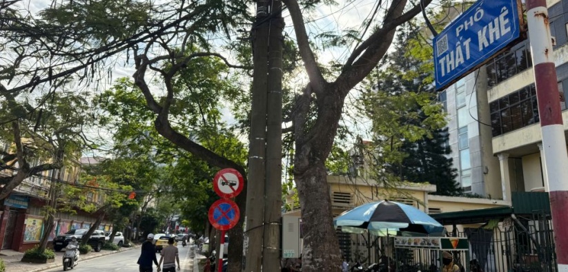 Điều chỉnh tổ chức giao thông trên đường Thất Khê, quận Hồng Bàng